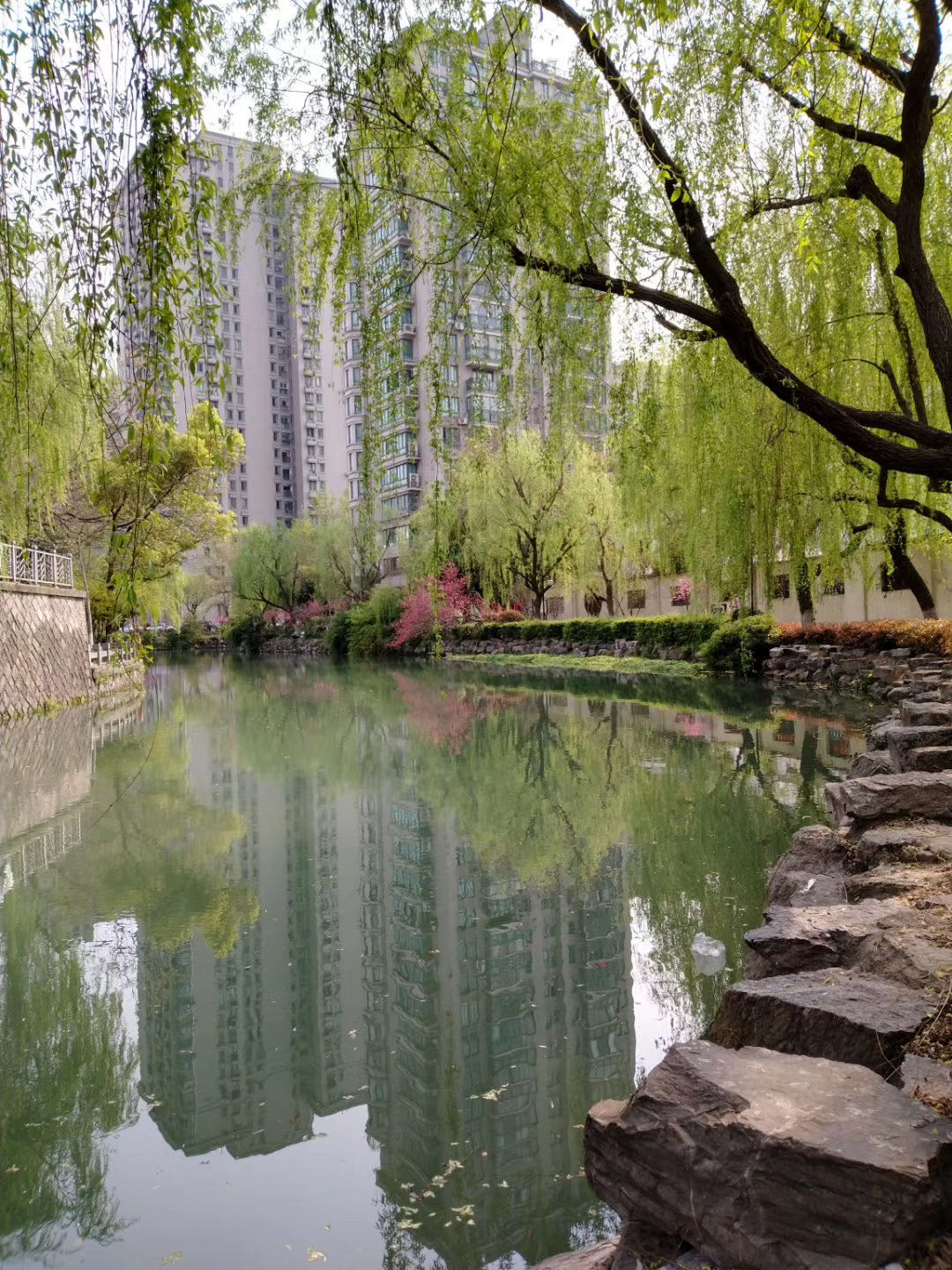 微信图片_20200323133139.jpg